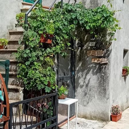Nicolas House Campiglia dʼOrcia Zewnętrze zdjęcie