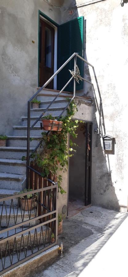Nicolas House Campiglia dʼOrcia Zewnętrze zdjęcie
