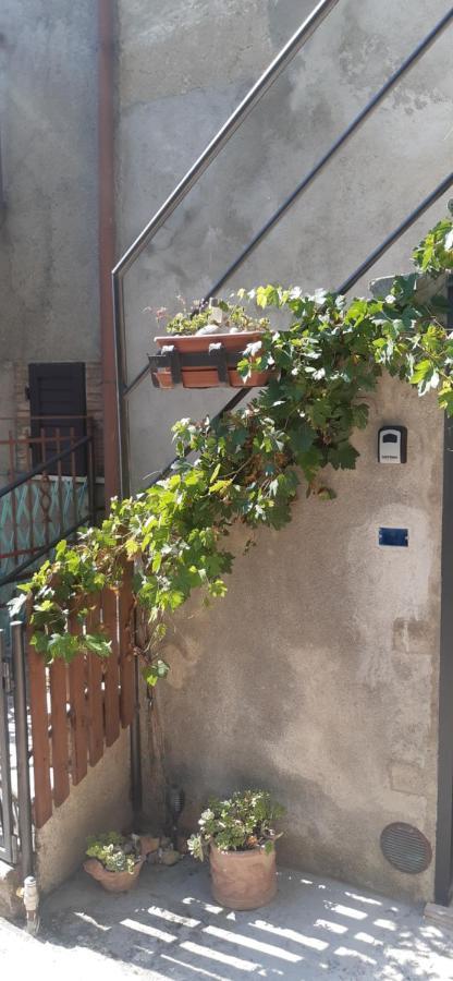 Nicolas House Campiglia dʼOrcia Zewnętrze zdjęcie