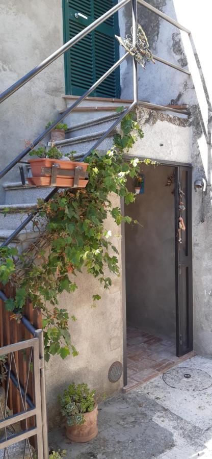 Nicolas House Campiglia dʼOrcia Zewnętrze zdjęcie