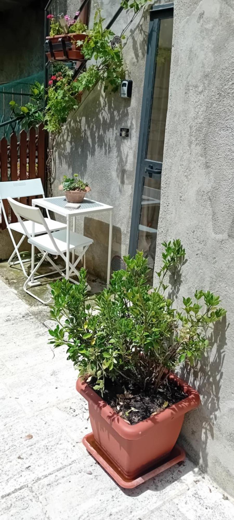 Nicolas House Campiglia dʼOrcia Zewnętrze zdjęcie